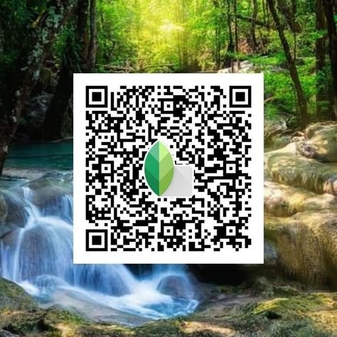 snapseed qr code ()