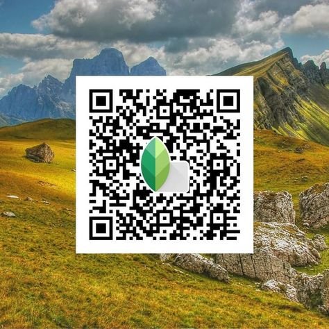 snapseed qr code ()