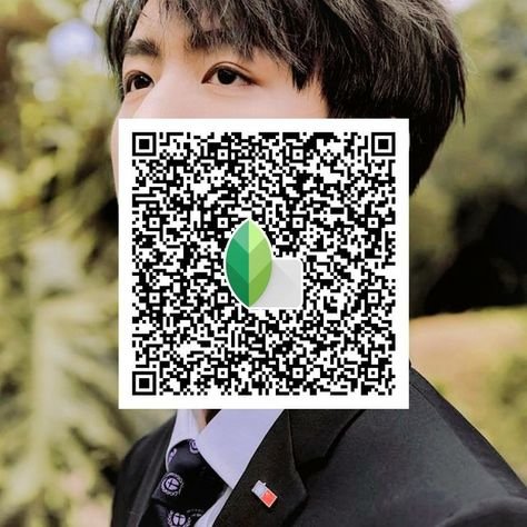 snapseed qr code ()