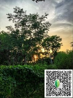 snapseed qr code ()