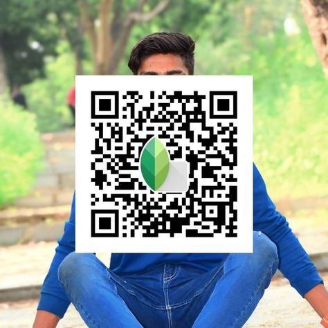 snapseed qr code ()