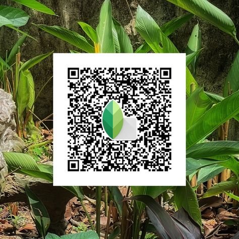 snapseed qr code ()