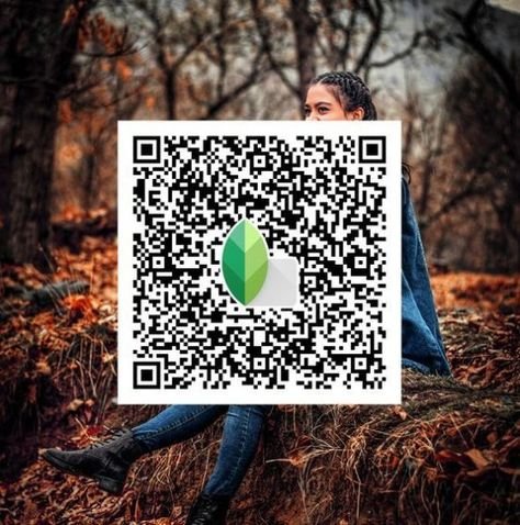 snapseed qr code ()