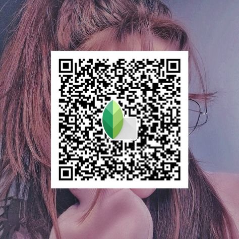 snapseed qr code ()