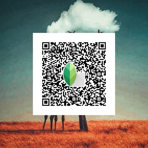 snapseed qr code ()
