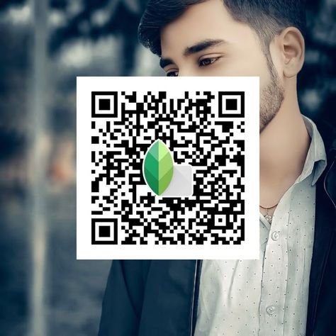 snapseed qr code ()