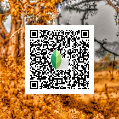 snapseed qr code ()