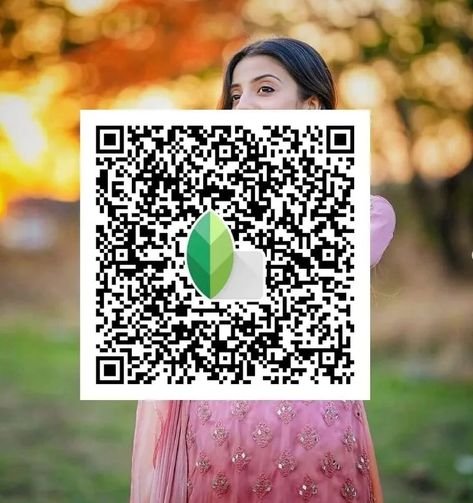 snapseed qr code ()