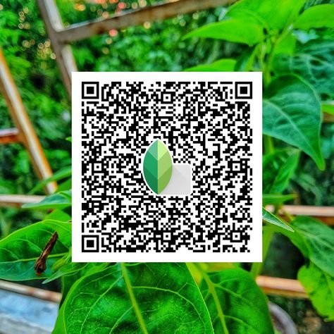snapseed qr code ()