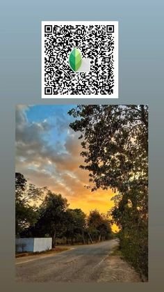 snapseed qr code ()