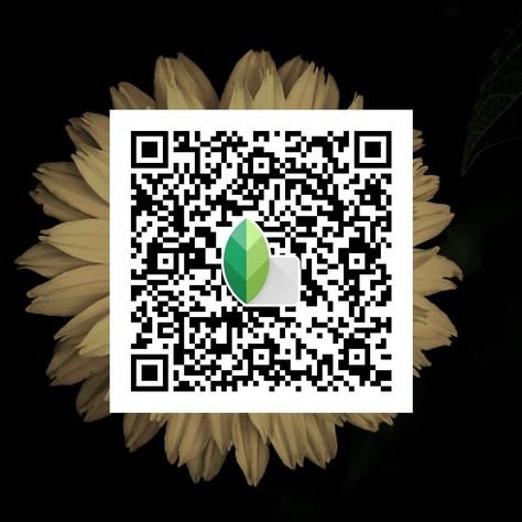 snapseed qr code ()