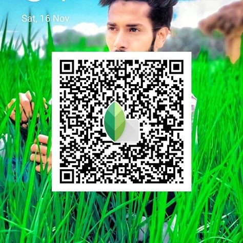 snapseed qr code ()