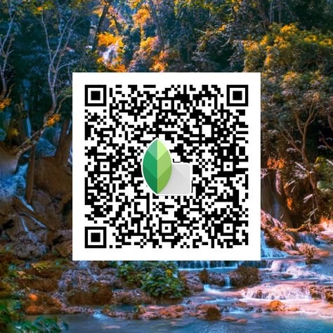 snapseed qr code ()
