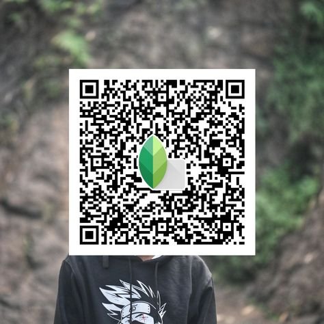 snapseed qr code ()