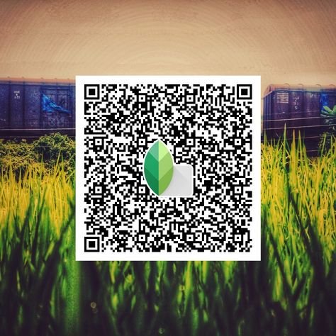 snapseed qr code ()