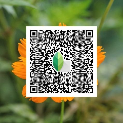snapseed qr code ()