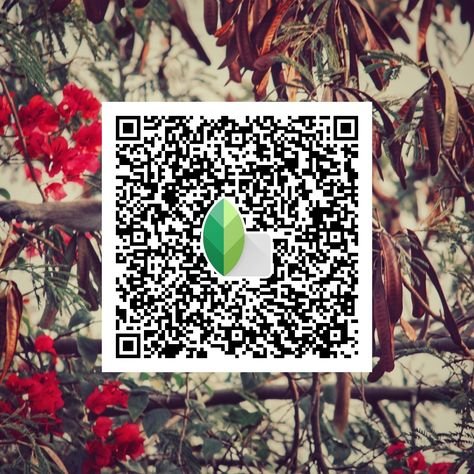 snapseed qr code ()