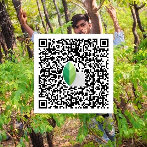 snapseed qr code ()