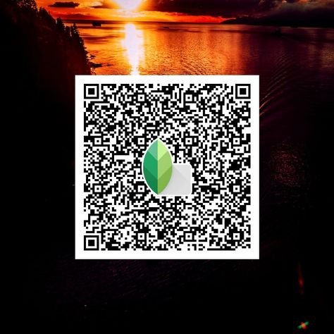 snapseed qr code ()