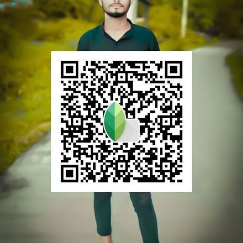 snapseed qr code ()