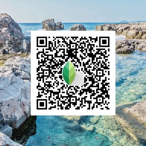snapseed qr code ()