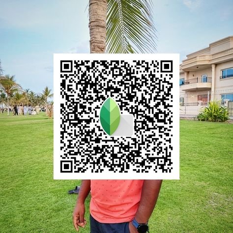 snapseed qr code ()