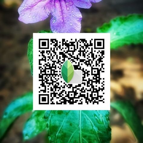 snapseed qr code ()