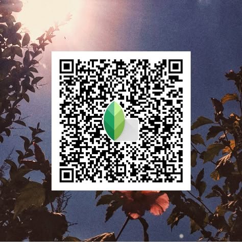 snapseed qr code ()