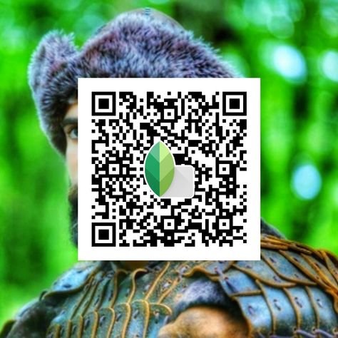 snapseed qr code ()
