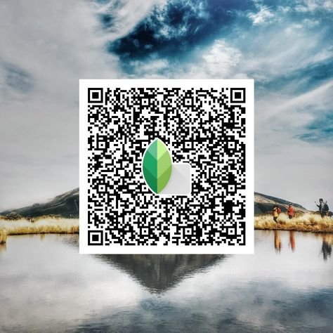 snapseed qr code ()