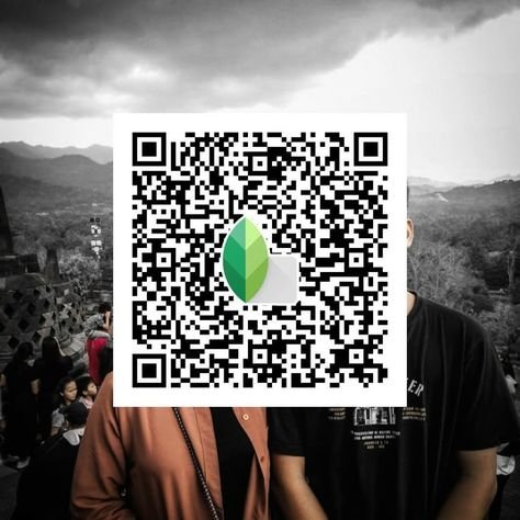 snapseed qr code ()