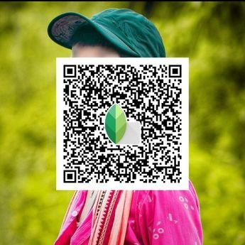 snapseed qr code ()