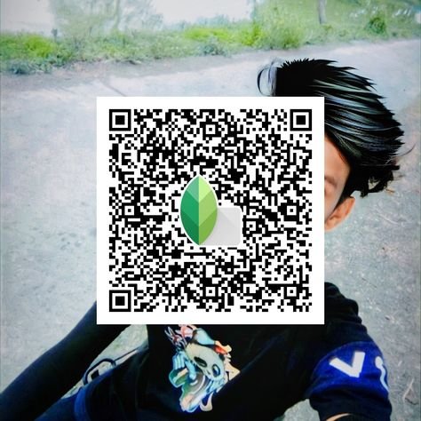 snapseed qr code ()