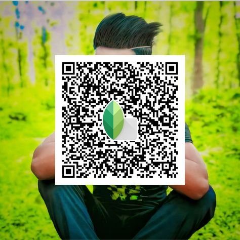 snapseed qr code ()