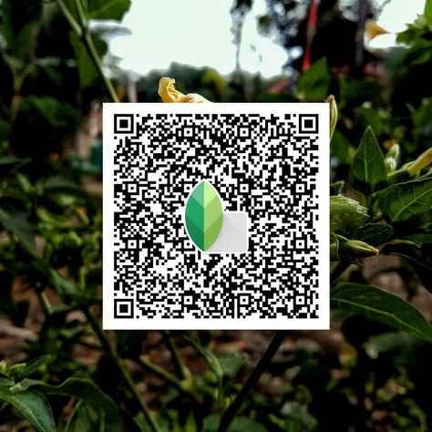 snapseed qr code ()