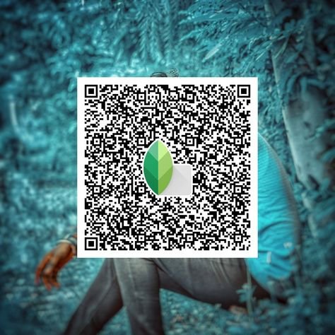 snapseed qr code ()
