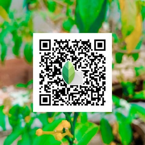 snapseed qr code ()