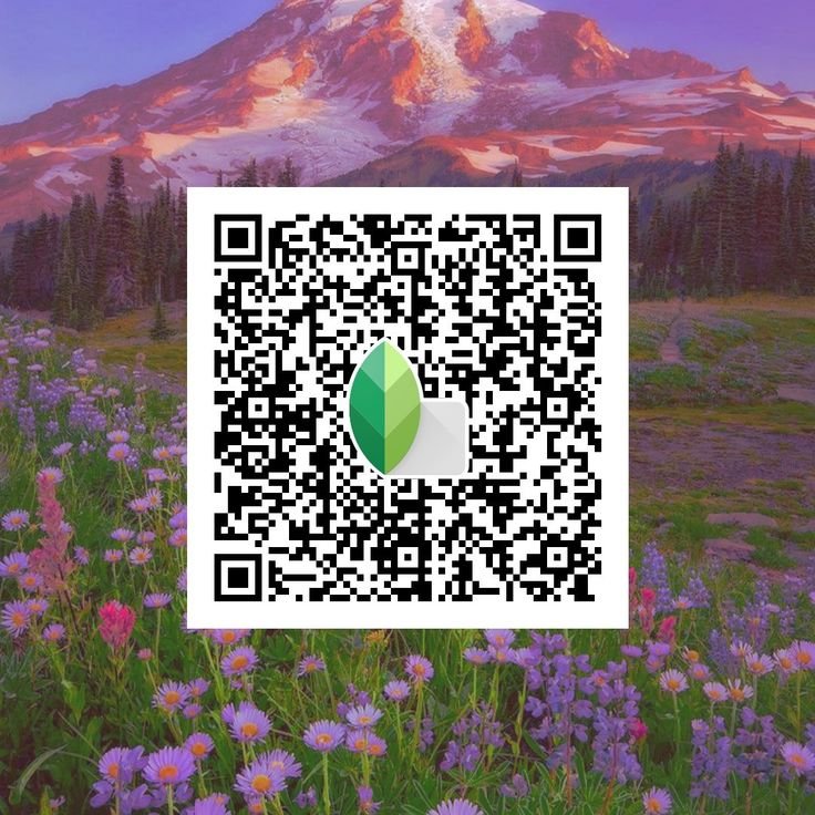 snapseed qr code for girls ()
