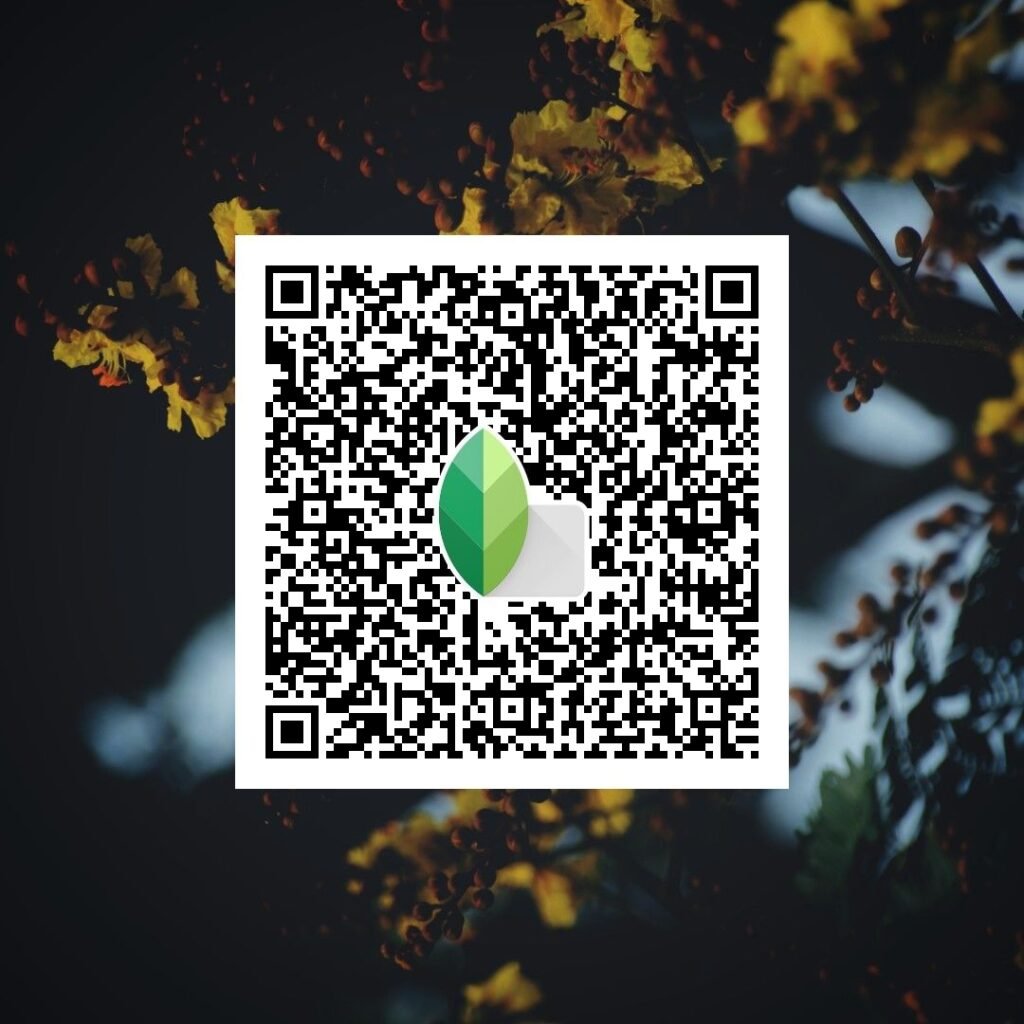 snapseed qr code for girls ()