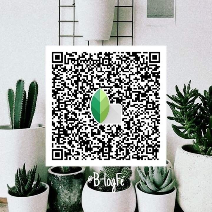 snapseed qr code for girls ()