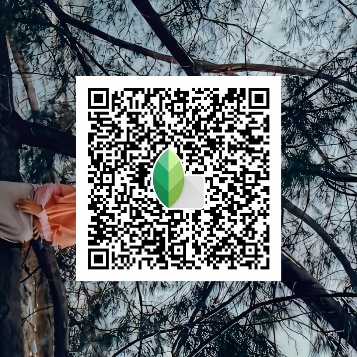 snapseed qr code for girls ()