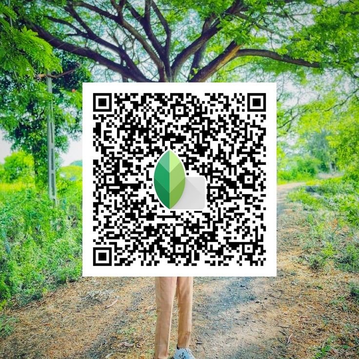snapseed qr code for girls ()