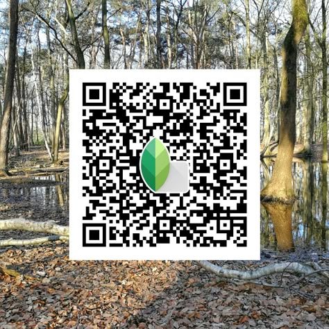 snapseed qr code for girls ()