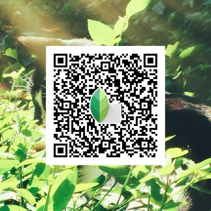snapseed qr code for girls ()