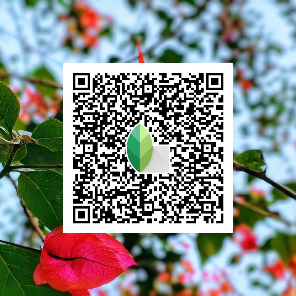 snapseed qr code for girls ()