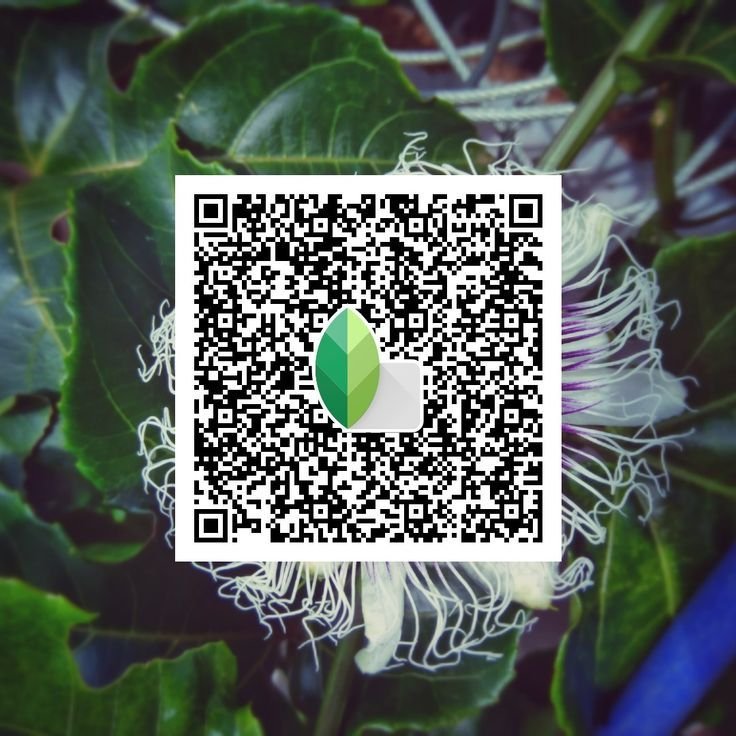 snapseed qr code for girls ()