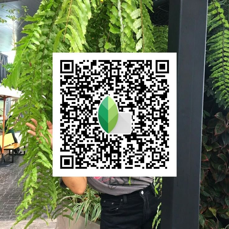 snapseed qr code for girls ()