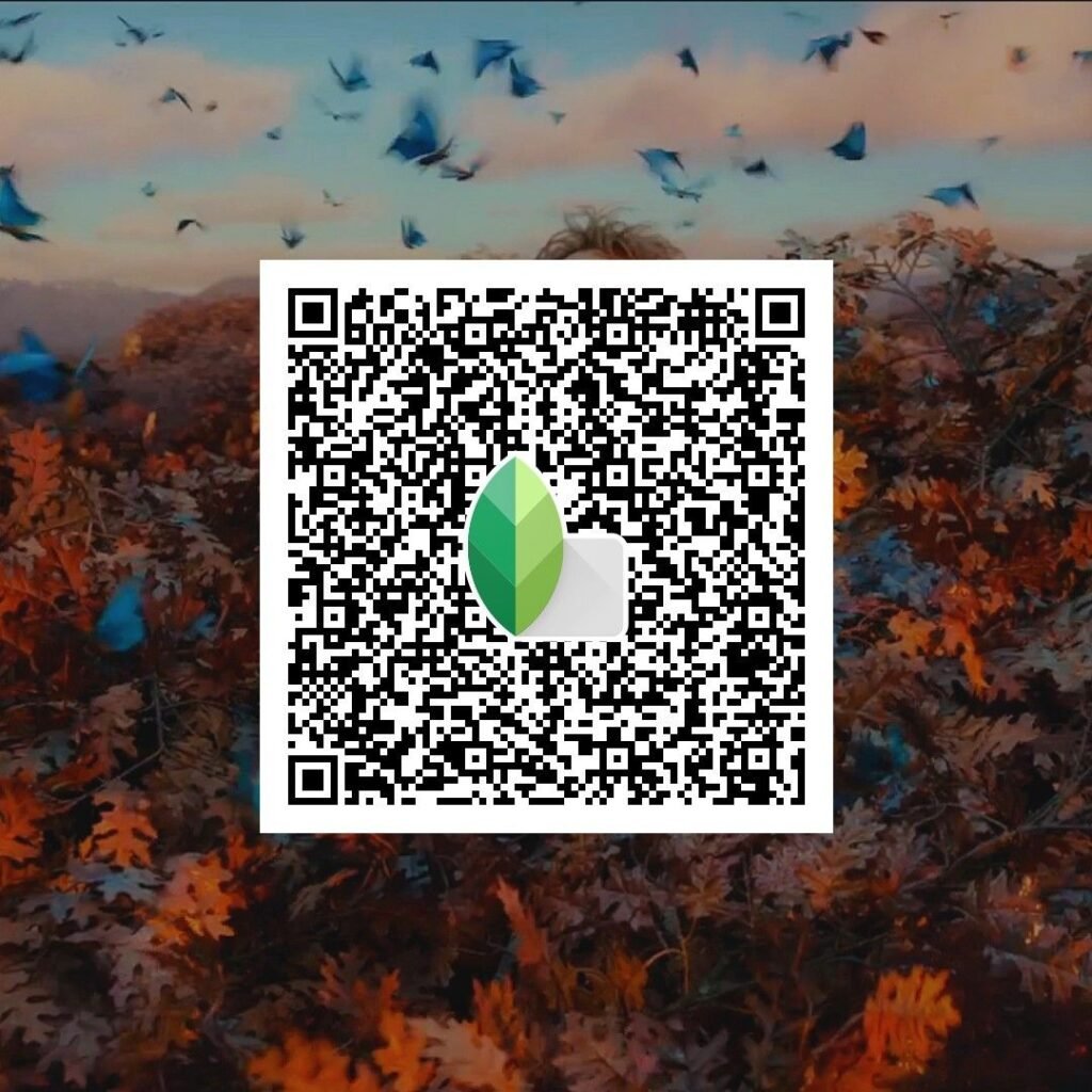 snapseed qr code for girls ()