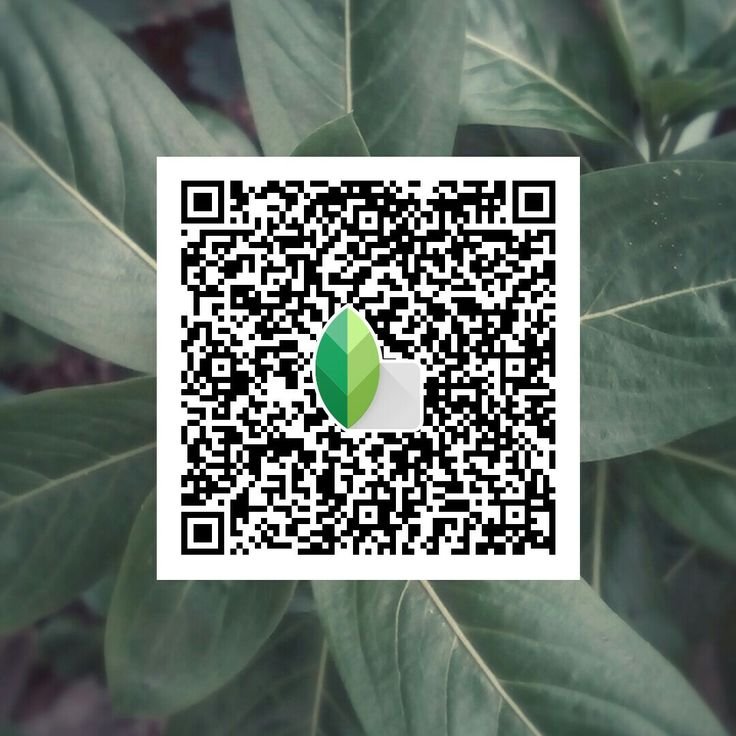 snapseed qr code for girls ()