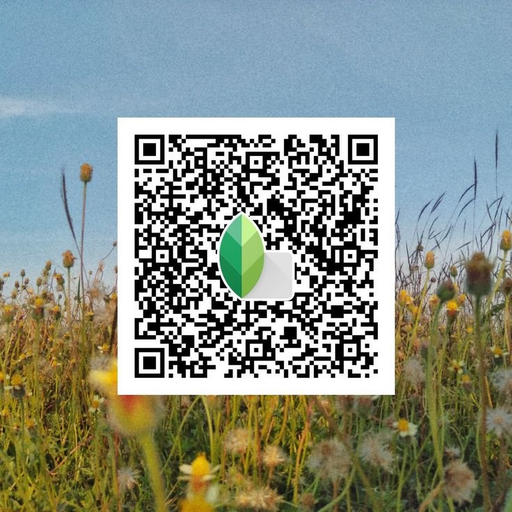 snapseed qr code for girls ()